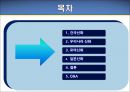 건국신화-단군신화, 로마건국신화, 일본건국신화 비교, 구비문학론, 자료 파워포인트 2페이지