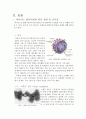 바이러스(Virus)의 활동무대 확장의 원인 및 가능한 대책에 대하여 4페이지