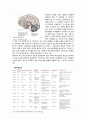 파킨슨병 About The Parkinson`s Disease 6페이지
