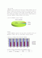 【대한항공 (Korean Air) 마케팅전략 연구 보고서】 대한항공 기업분석과 대한항공 마케팅 SWOT,STP,4P 전략분석 및 대한항공의 향후 새로운 마케팅전략 제안 레포트
 12페이지