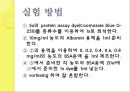 Bradford Assay (단백질 정량).pptx 14페이지