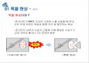 고강도 콘크리트 폭열 방지 - 폭열 현상, 폭열 방지 대책.pptx 4페이지