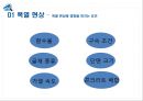 고강도 콘크리트 폭열 방지 - 폭열 현상, 폭열 방지 대책.pptx 5페이지