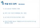 고강도 콘크리트 폭열 방지 - 폭열 현상, 폭열 방지 대책.pptx 9페이지
