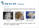 고강도 콘크리트 폭열 방지 - 폭열 현상, 폭열 방지 대책.pptx 13페이지