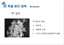 고강도 콘크리트 폭열 방지 - 폭열 현상, 폭열 방지 대책.pptx 14페이지