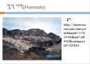 [물의 과학 주제발표과제] 사막의 물 {갈증, 사막, 선인장, 오아시스}.pptx 7페이지