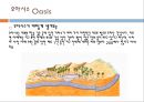 [물의 과학 주제발표과제] 사막의 물 {갈증, 사막, 선인장, 오아시스}.pptx 11페이지