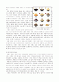 [설빙 마케팅전략 사례분석] 설빙 브랜드분석과 설빙 성공요인과 마케팅 SWOT,STP,4P전략분석및 향후전망분석 레포트 18페이지