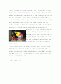 레드불(Red Bull)기업분석과 레드불 마케팅 SWOT,STP,4P 전략분석과 성공요인분석, 레드불 새로운 마케팅전략 제안 레포트
  29페이지