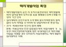 광주권(光州圈) 광역도시개발계획.ppt 21페이지