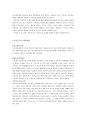 비정규직에 대하여 30페이지