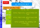 프로젝트 관리.ppt 17페이지