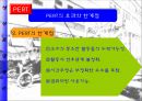 프로젝트 관리.ppt 20페이지
