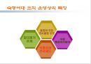 세상을 움직이는 부드러운 힘 - 숙명여자 대학교의 VISION  31페이지