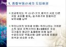 종합부동산세(綜合不動産稅)에 관한 논의  3페이지