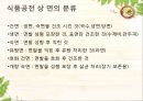 제면 제조공정 {식품공전상 분류, 면 제조 방법에 따른 분류}[식품가공저장학].pptx 5페이지