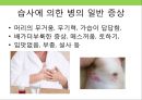 건강한 장수(長壽) 섭생 & 병을 일으키는 한의학적 원인.pptx 20페이지
