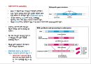 12 유전자遺傳子발현과 조절 11페이지