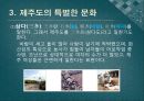 국제관광레포트-대한민국 제주도의 문화와 대표적인 관광지 9페이지