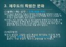 국제관광레포트-대한민국 제주도의 문화와 대표적인 관광지 10페이지