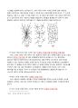 [레포트] 인터넷(internet이야기 1단원 정리내용  8페이지
