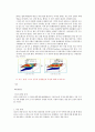 영화.자연 기말리포트 6페이지
