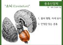 중추신경계中樞神經系와 말초신경계 9페이지