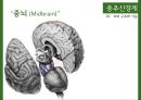 중추신경계中樞神經系와 말초신경계 13페이지