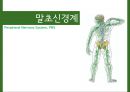 중추신경계中樞神經系와 말초신경계 19페이지