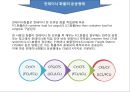컨테이너와 국제복합운송,복합운송이란? 13페이지