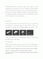 나이키 Nike 기업분석, 글로벌 경영전략분석 및 나이키 마케팅전략 분석과 나이키 한국시장 성공사례분석 관련 보고서 12페이지