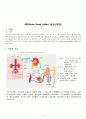 ARF(Acute Renal Failure, 급성신부전) 1페이지