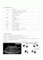 ARF(Acute Renal Failure, 급성신부전) 3페이지
