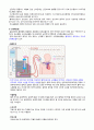 성인간호 임상실습 급성신부전 사례연구 내용 충실한 A+자료입니다. 11페이지
