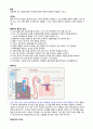 성인간호 임상실습 급성신부전 사례연구 내용 충실한 A+자료입니다. 12페이지