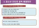 청소년 인터넷 중독과 해결방안 13페이지