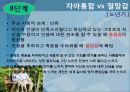 에릭슨의 자아심리 이론(심리사회이론) 15페이지