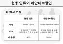 네안데르탈인Neanderthal人의 멸종 8페이지