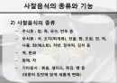 사찰음식寺刹飮食, 그 가능성에 대하여 17페이지