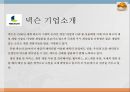NEXON 넥슨 기업분석과 넥슨 마케팅 SWOT,STP,4P전략분석및 넥슨 미래전략제안 PPT 4페이지