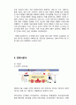 Alibaba 알리바바 기업분석과 성공전략분석및 알리바바 마케팅전략분석과 알리바바 향후전망과 나의견해정리 보고서 11페이지