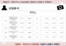 기업분석 - 파라다이스 ( PARADISE ), 기업분석, 산업분석, 경제분석 13페이지