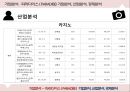 기업분석 - 파라다이스 ( PARADISE ), 기업분석, 산업분석, 경제분석 14페이지