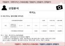 기업분석 - 파라다이스 ( PARADISE ), 기업분석, 산업분석, 경제분석 15페이지