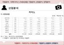 기업분석 - 파라다이스 ( PARADISE ), 기업분석, 산업분석, 경제분석 22페이지