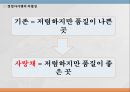 [게스트하우스 창업 사업계획서] 해외관광객 대상으로 게스트하우스 창업 사업계획서  PPT 9페이지