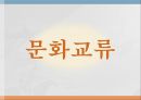 [게스트하우스 창업 사업계획서] 해외관광객 대상으로 게스트하우스 창업 사업계획서  PPT 13페이지