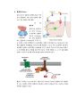 세포 신호전달 과 콜레라 독소 작용 기작 (Cell Signal Transduction and Cholera toxin) 7페이지