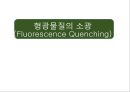 [물리화학 실험] 형광물질의 소광 (Fluorescence Quenching) 1페이지